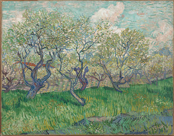 Vincent van Gogh, Bloeiende Boomgaard Van Gogh Museum, Amsterdam
